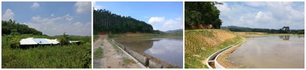 1551349709509248.jpg 11.jpg