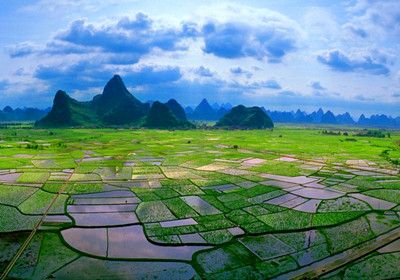 1576744326389875.jpg 農(nóng)田新新.jpg